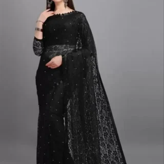 Net Sari: Elegant Drape, Sheer Style