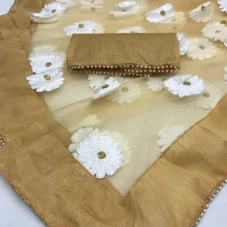 Lace Border Net Saree Blouse
