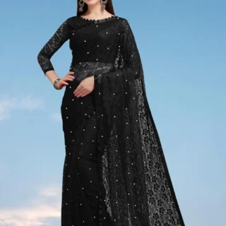 Brasso Net Saree: Lace Border Accent