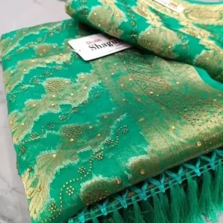 Organza Jhalar Saree: Wedding Softness