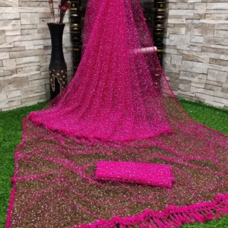 4q8j2_1024.webp Ethereal Net Sarees: Sheer Grace, Sheer Beauty.