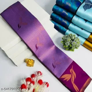 Elegant Kanjeevaram Silk Saree & Blouse