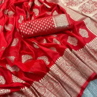 Kanjeevaram Silk Saree Blouse Red