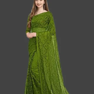 Elegant Sheer Net Saree