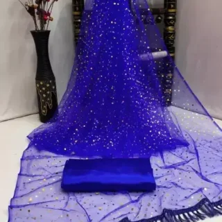 Bollywood 2025 Party Saree  Low Rate