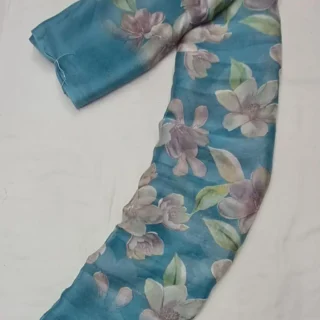 Soft Georgette Jari Border