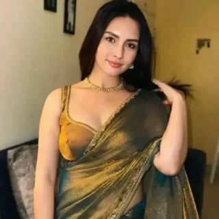 Rich Chiffon Saree with Fancy Border Blouse