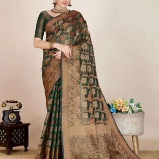 Elegant New Saree