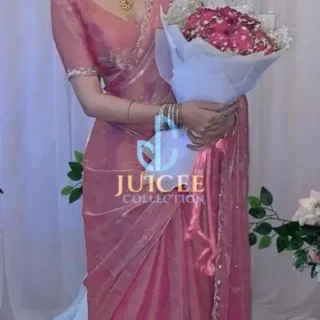 Jimmy Chu Organza Stone Saree: 2024
