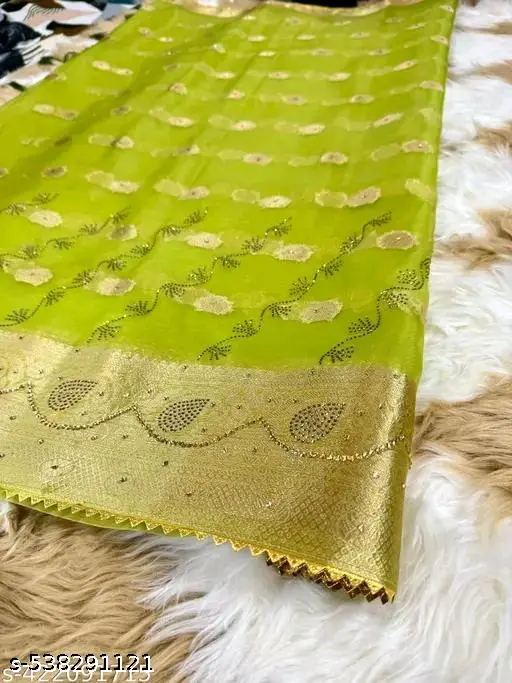 Elegant Stone Embellished Organza Saree - Image 4