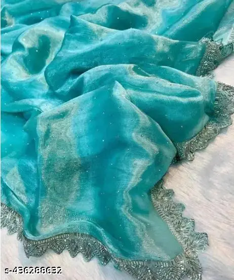Jimmy Chu Organza Stone Saree Collection - Image 2