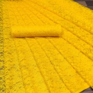 Polly Silk Net Sari: Elegant Drape