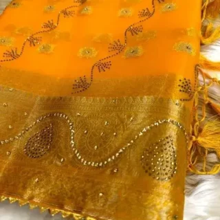 Swarovski Stone Organza Silk Saree