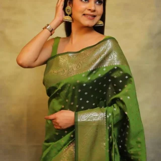 Banita Sarees: Sensational Style & Grace