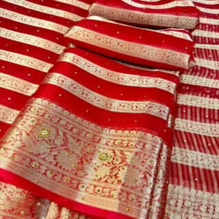 Organza Saree: Delicate Stone Elegance