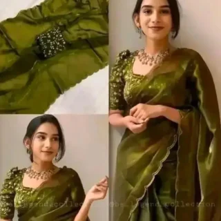 Jimmy Chu Organza Aari Work Saree