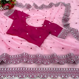 Heavy Nylon Embroidered Saree