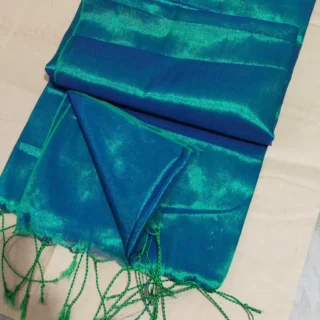 Soft Dual Tone Tissue Saree & Blouse