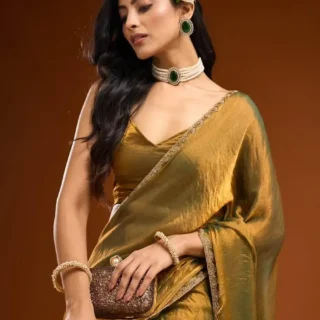 Elegant Beaded Stone Saree