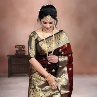 Soft Silk Saree: Unique & Wonderful