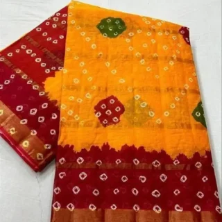 Elegant & Stylish Saree