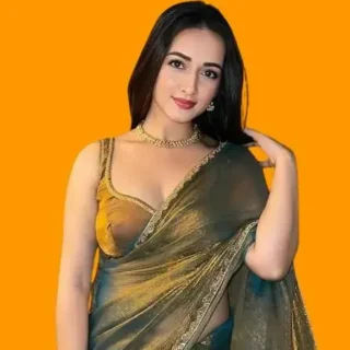 Zimichoo TwoTone Chiffon Saree