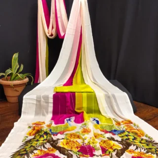 Sensational Sarees: Trendy & Elegant.