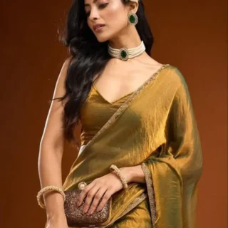 Elegant Beaded Stone Saree
