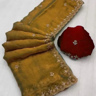 Chiffon Sarees: 2025 Party Collection