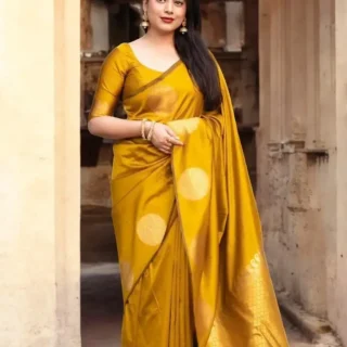 pxvdf_1024.webp Woven Rich Pallu Lichi Silk Saree