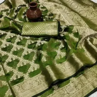 Morpich: Elegant Organza Silk Saree
