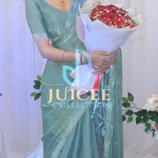 Jimmy Chu Organza Saree: 2024 Collection