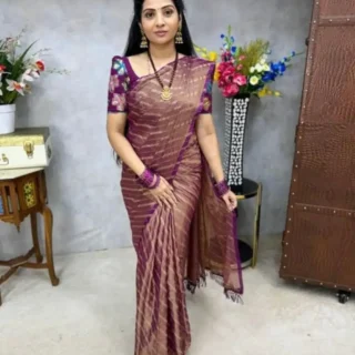 Banita Petite Sarees: Elegance in Every Drape