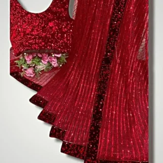 Heavy Butter Fly Net Sequence Saree
