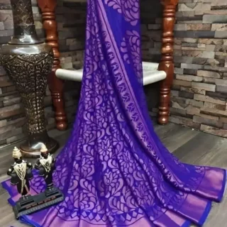 Adrika Drishya: Visionary Sarees