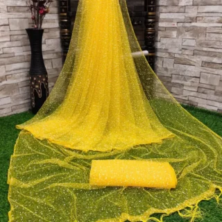 wlvbu_1024.webp Elegant Net Saree: Sheer Grace
