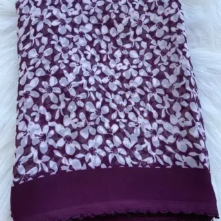 Georgette Saree: Dori Border Print