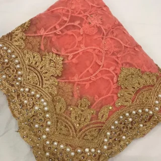 Peach Net Saree Blouse Begumpuri Elegance