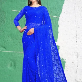 Brasso Net Saree: Ethereal Drape, Modern Style